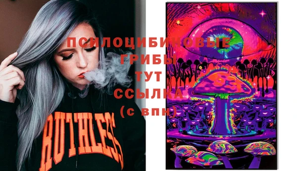 прущие грибы Киреевск
