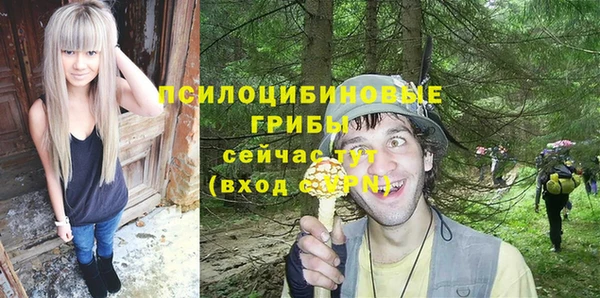 прущие грибы Киреевск