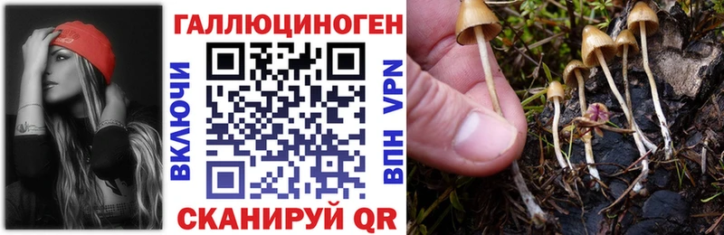 Галлюциногенные грибы Magic Shrooms  Купить закладки  Очёр 